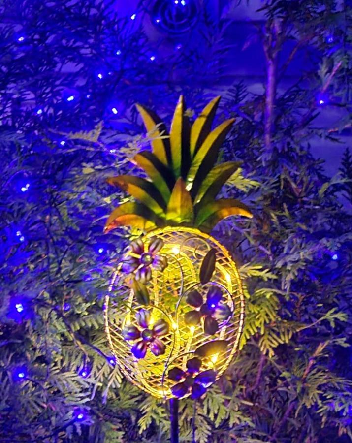 Experience The Serenity Of Pineapple Acre Pocono Stroudsburg Exterior foto