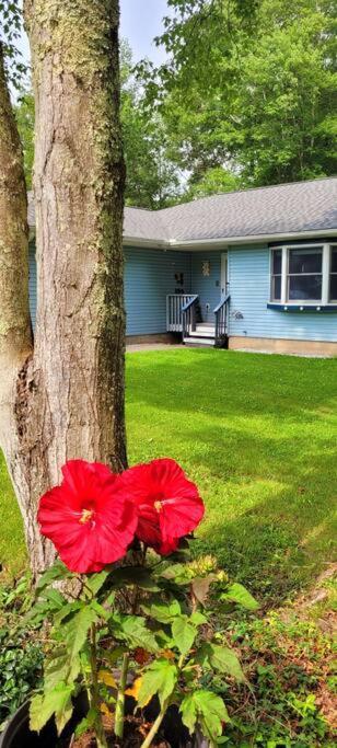Experience The Serenity Of Pineapple Acre Pocono Stroudsburg Exterior foto